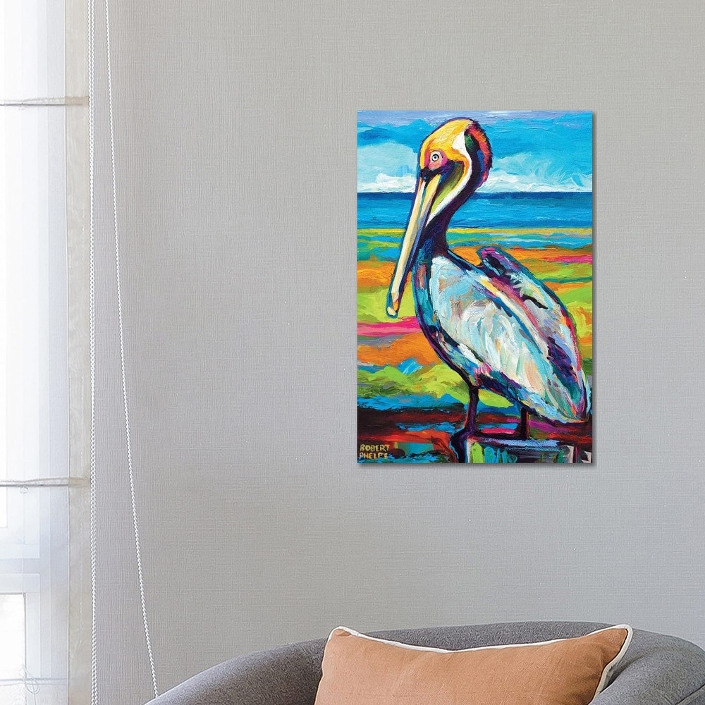 iCanvas "Pelican" by Robert Phelps Canvas Print