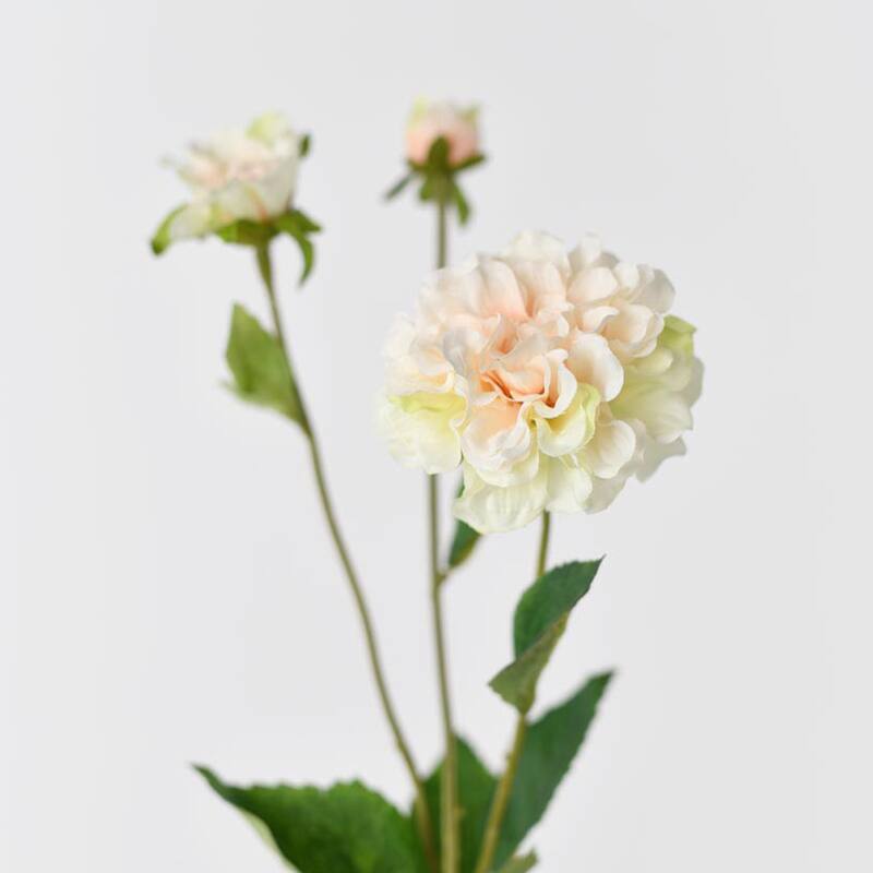 Silk Decorative Artificial Paeonia lactiflora(Pack of 1 Branch)
