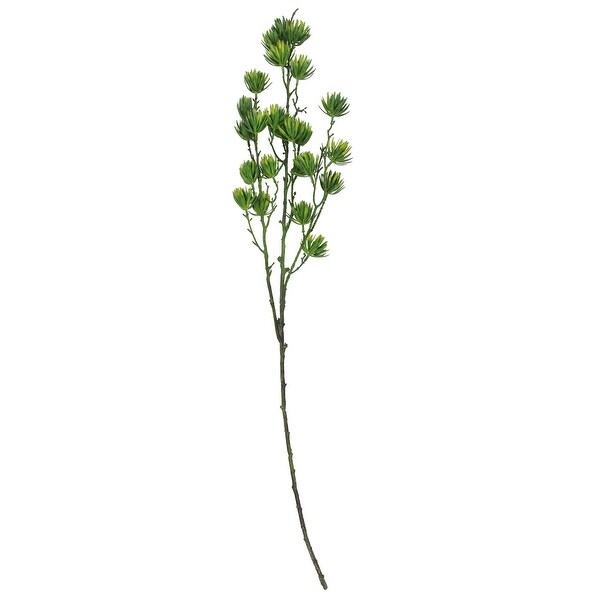 37" Two-Tone Green Unique Desert Protea Blooming Floral Spray - N/A