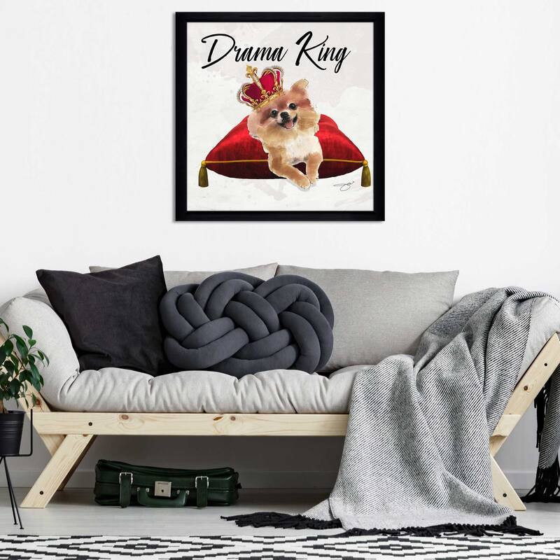 "Drama King Pomeranian" by Jodi Print on Acrylic