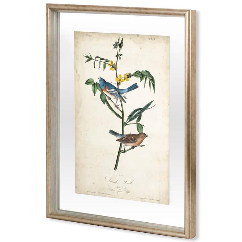 Delicate Bird and Botanical IV Framed Art Print