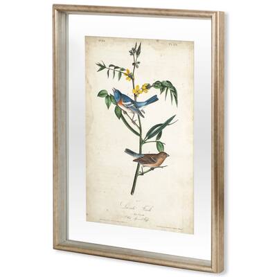Delicate Bird and Botanical IV Framed Art Print