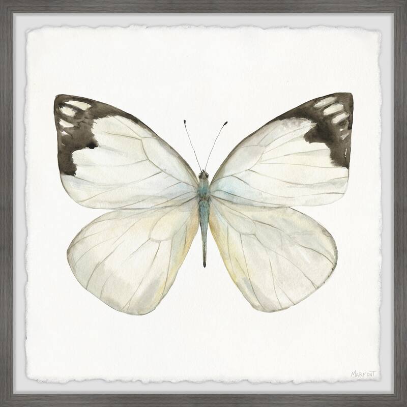 'Rainforest Butterfly' Framed Painting Print
