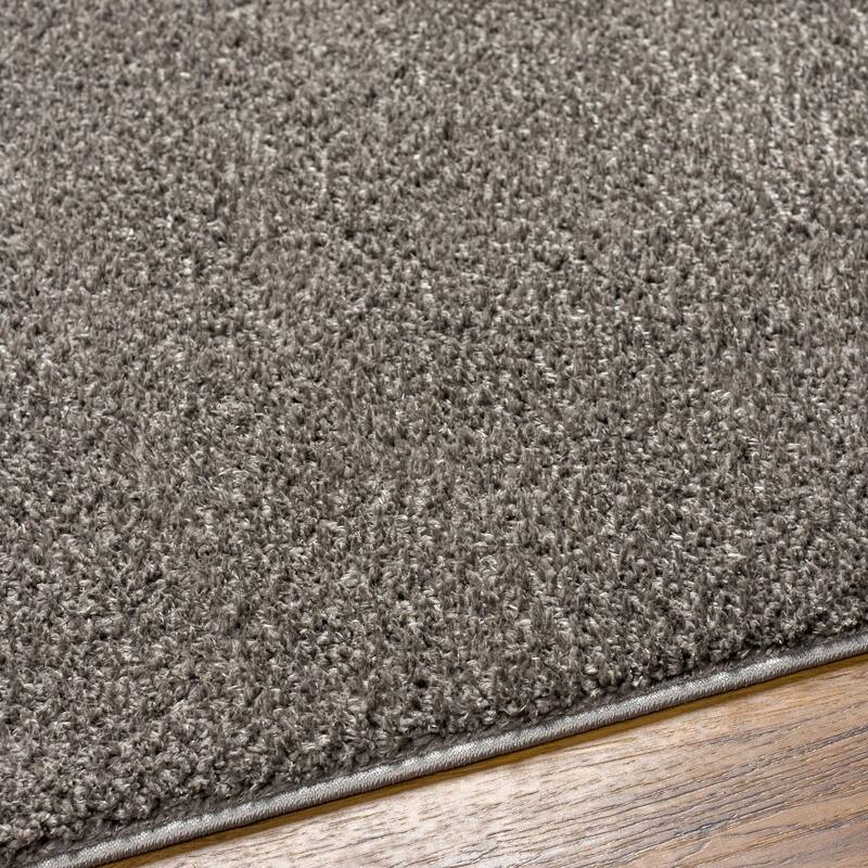 Livabliss Alfombra Machine Washable Plush Area Rug
