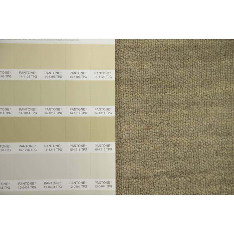 Hand Knotted Oriental 100% Wool Carpet Tribal Animal Pictorial Beige & Ivories Gabbeh Area Rug - 3' 0'' X 2' 0''