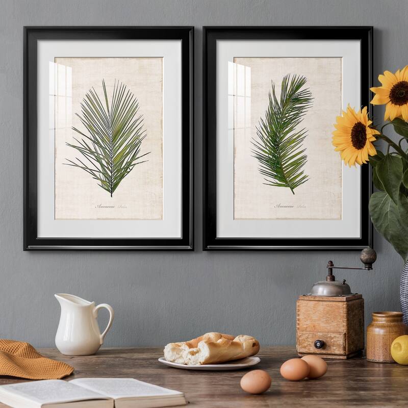 Palm Botanical I Premium Framed Print - Ready to Hang