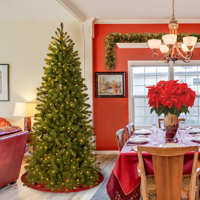 National Tree Company 7 ft. Downswept Douglas® Pencil Slim Fir Tree with Dual Color® LED Lights - 7 Foot - Green