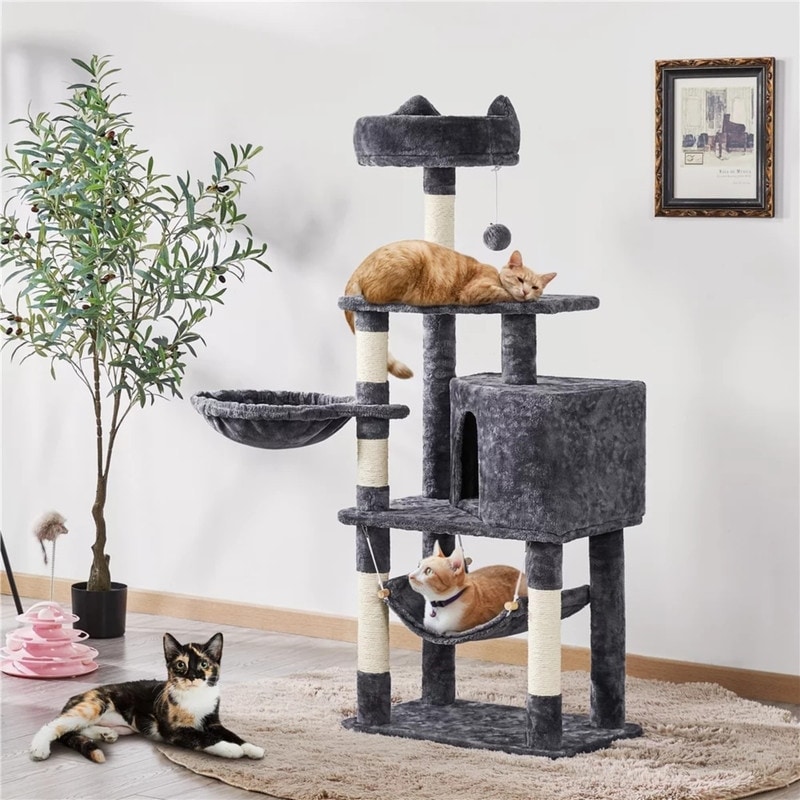 https://ak1.ostkcdn.com/images/products/is/images/direct/25e678c1edf41491de2dec7a1a0d32fdcb6261a4/54.5%22-Cat-Tree-Tower-with-Scratching-Posts%2C-Multiple-Colors.jpg