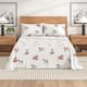 Option Outdoor Festive Dogs