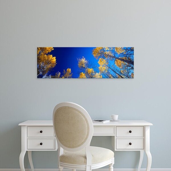 Easy Art Prints Panoramic Images's 'Low angle view of aspen trees in autumn, Colorado, USA' Premium Canvas Art