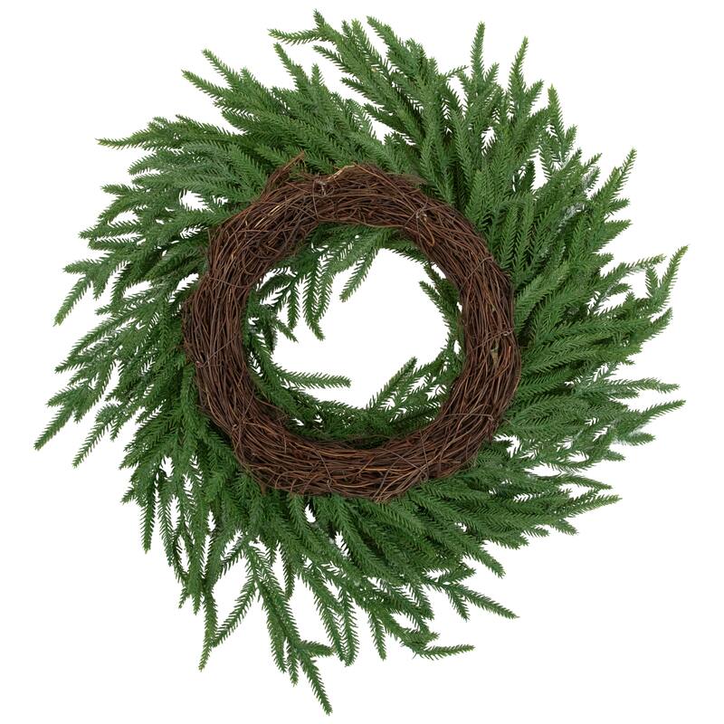 Frosted Norfolk Pine Artificial Christmas Wreath - 20" - Unlit