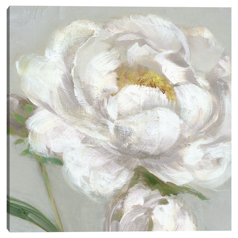 Peony Detail I by Sally Swatland Canvas Art Print