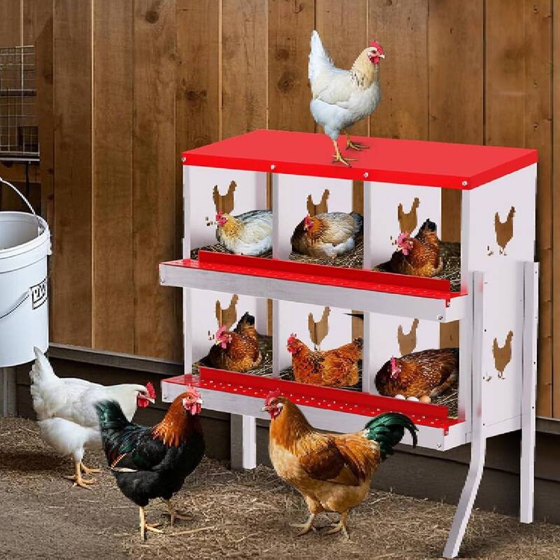 Chicken Nesting Boxes with Roll Out Egg Collection and Legs