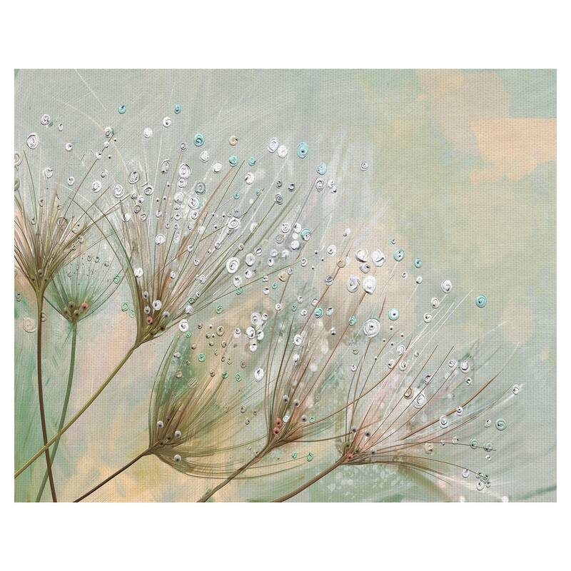 Dewdrop Colors by Studio Arts Canvas Art Print