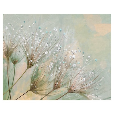 Dewdrop Colors by Studio Arts Canvas Art Print