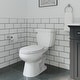 preview thumbnail 2 of 1, PROFLO PF01PH Gerald Wall Mounted Spring Bar Toilet Paper Holder