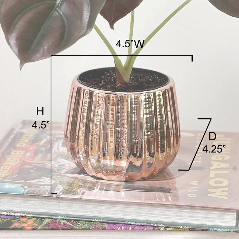 Admired By Nature Planters Pots, Modern Ceramic for Home Décor