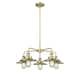 Option Antique Brass
