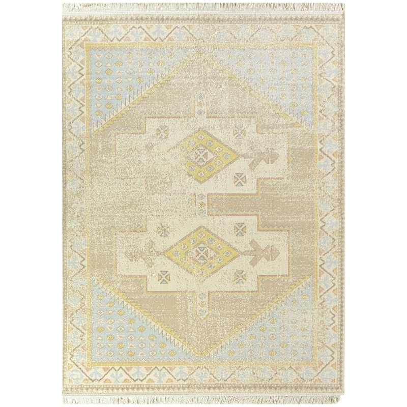 Cervantes Vintage Geometric Recycled Area Rug