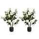 preview thumbnail 8 of 7, Set of 2 Artificial Camellia Trees 36 Inch Lifelike Indoor Decorative Plants with Cement Pots - 5" x 36"