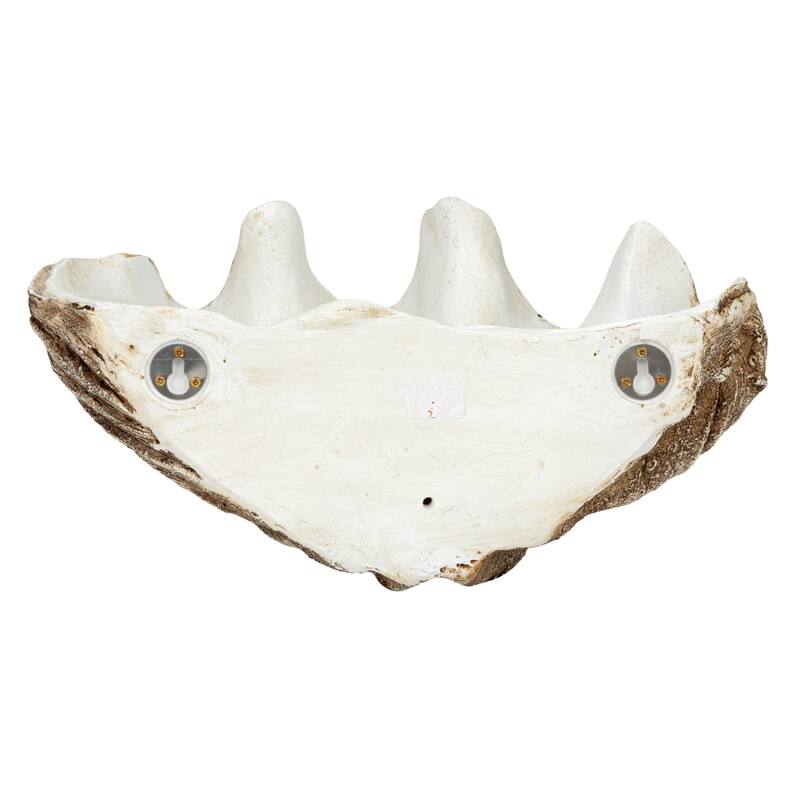 Decorative Resin Clam Wall Bowl - 14.4"L x 9.6"W x 7.5"H