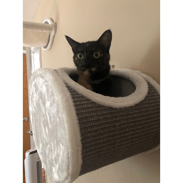 Top Product Reviews For Trixie Sisal Wall Mounted Cat Lounging And