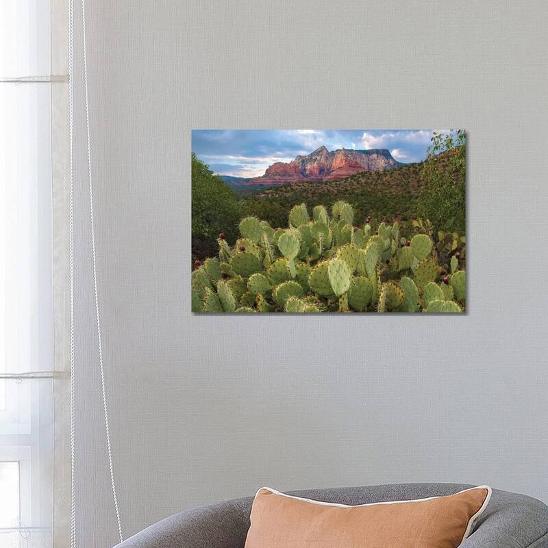 iCanvas "Opuntia Cactus And Mountain, Red Rock-Secret Mountain Wilderness, Arizona" by Tim Fitzharris Canvas Print - 18x26x1.5