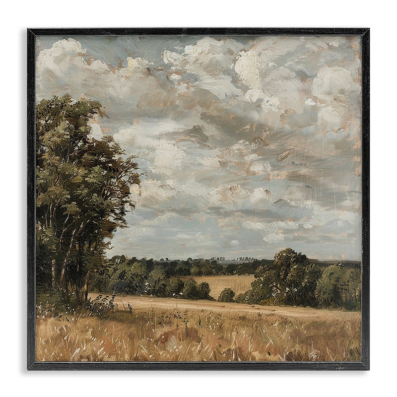 Stupell Clouds Over Country Scenery Framed Giclee Art Design By LSR Creative Studio - 24 x 24 - Black