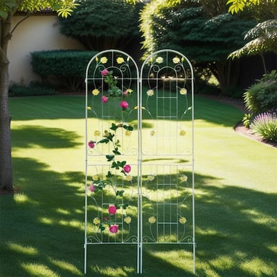 2 Pcs Rustproof Metal Garden Trellis for Climbing Plants