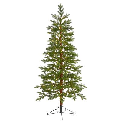 6.5' Fairbanks Fir Christmas Tree with 250 Clear Warm LED Lights - Green