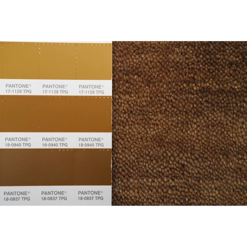 Hand Knotted Oriental 100% Wool Carpet Tribal Animal Pictorial Brown Gabbeh Area Rug - 8' 1'' X 4' 1''