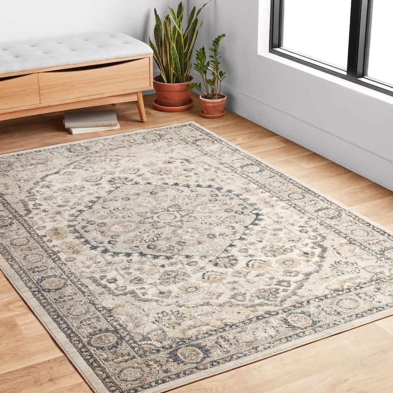 Alexander Home Josefina Floral & Medallion Traditional Area Rug - 9'9" x 13'6" - NATURAL / LT. GREY - Runner/Rectangle