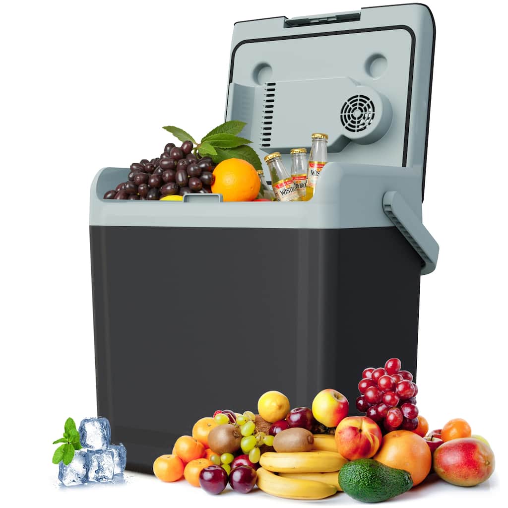 25QT Portable Cooler and Warmer Mini Fridge - N/A