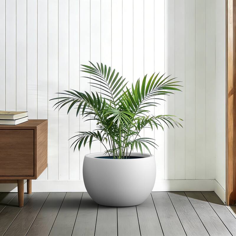 Concrete Round Bowl Planter with Drainage Hole(Upgraded Interior)