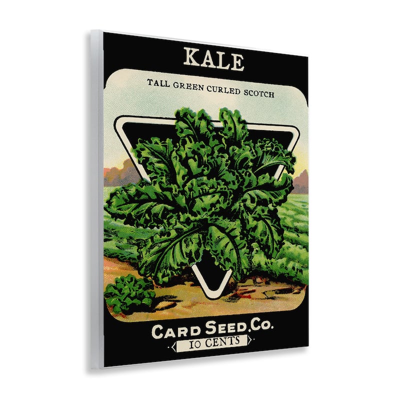 Stupell Vintage Garden Kale Wall Plaque Art Design By Lil' Rue