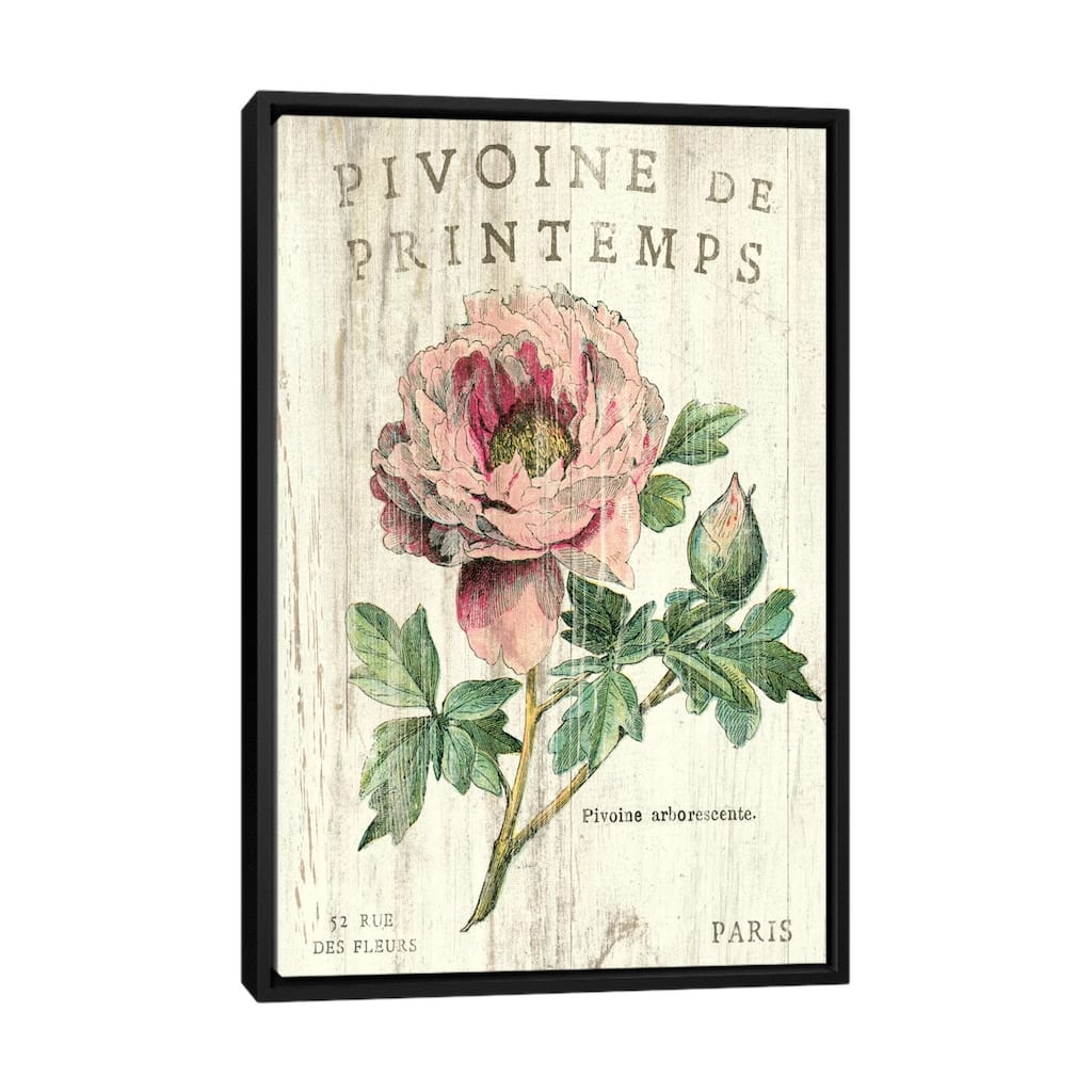 iCanvas "Pivoine de Printemps " by Sue Schlabach Framed Canvas Print