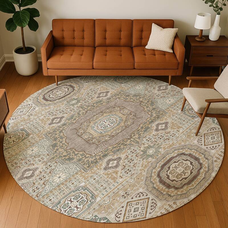 Machine Washable Indoor/ Outdoor Traditonal Isaiah Chantille Rug