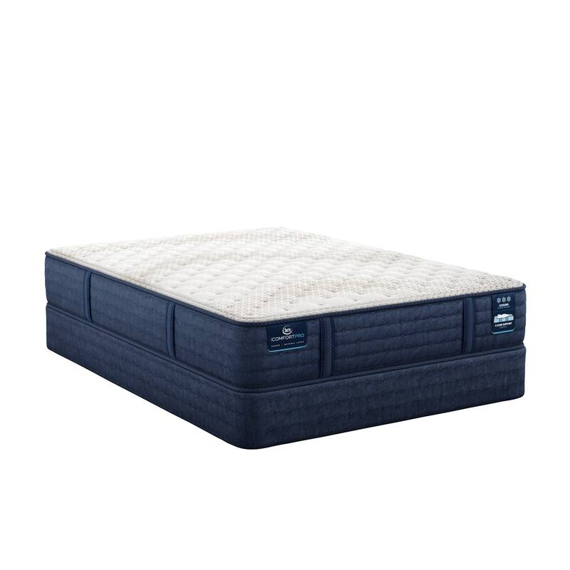 Serta iComfortPro Granby 11.5" Latex Foam Extra Firm Mattress Set