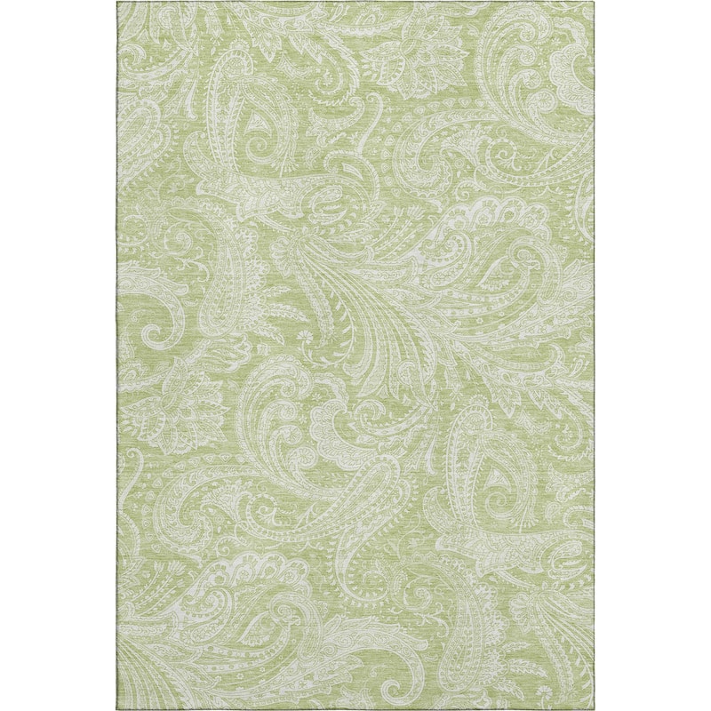 Premium Washable Super Soft Traditional Paisley Mayfield Rug
