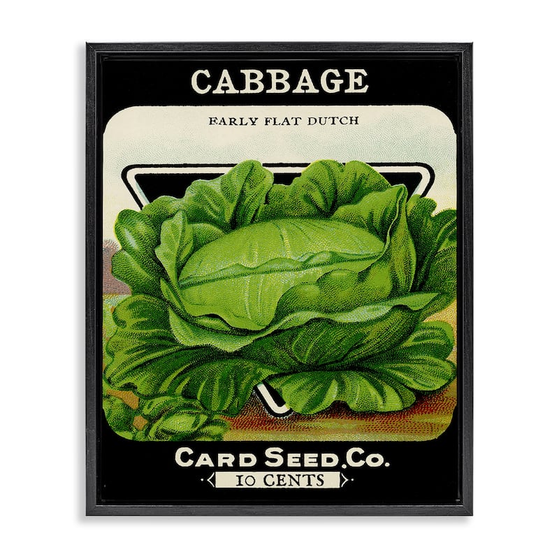 Stupell Vintage Garden Cabbage Framed Floater Canvas Wall Art Design By Lil' Rue - 17 x 21 - Black
