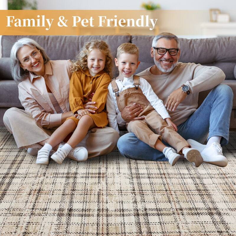 Washable Area Rugs for Living Room Bedroom Modern Plaid Rug Soft Non Slip Low Pile Farmhouse Geometric Rug