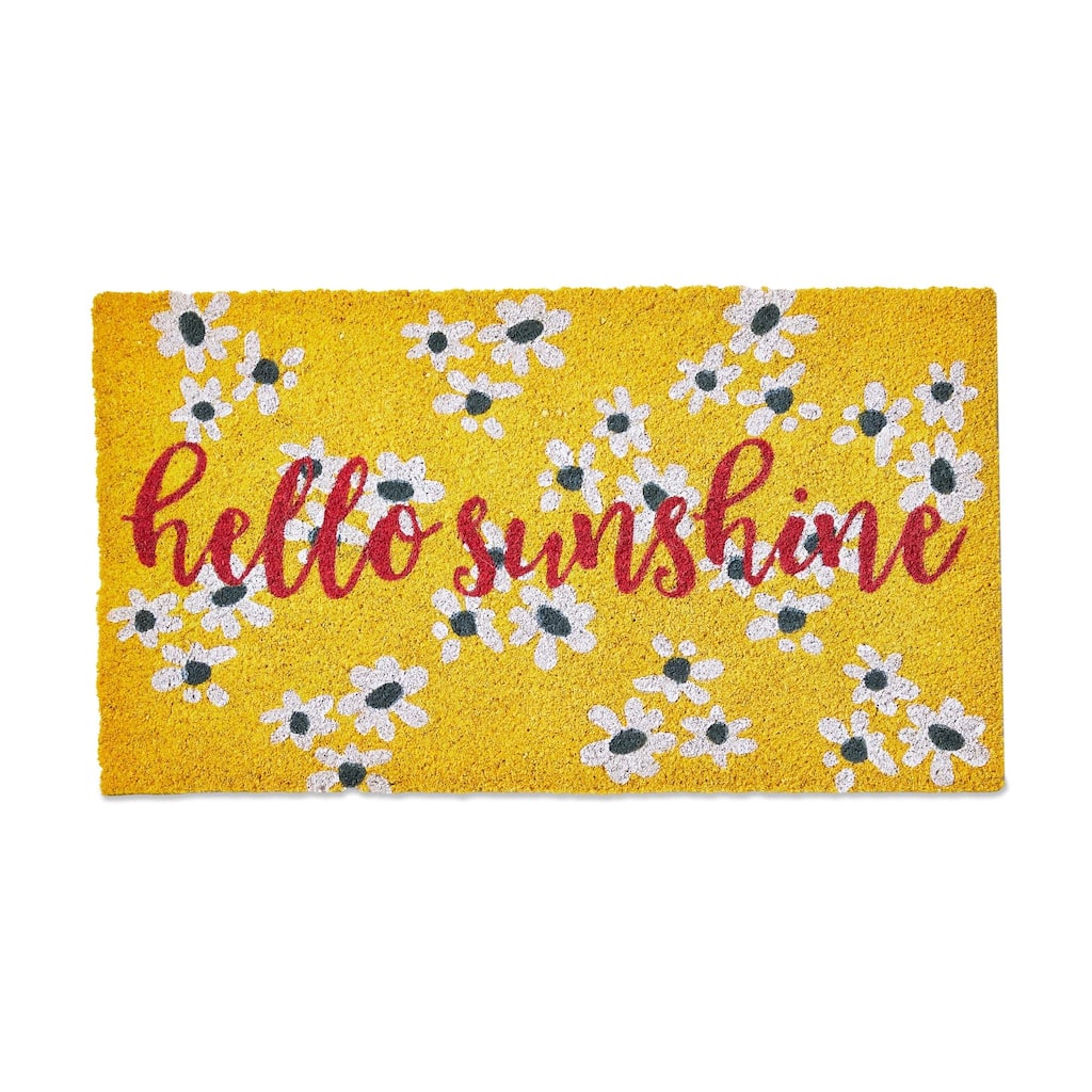 Hello Sunshine PVC Coir Door Mat - Everyday Multicolor Doormat, Easy to Clean, 1" H x 30" L x 17" W