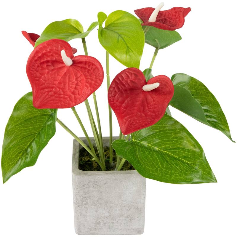 Anthurium Spring Floral Artificial Plant in a Square Pot - 12" - Red