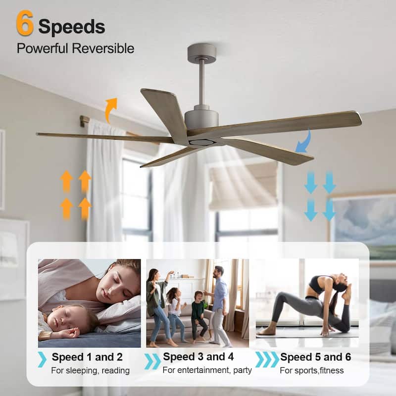 WINGBO 64 Inch DC Motor Indoor Ceiling Fan without Lights - N/A