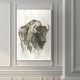 preview thumbnail 7 of 8, American Buffalo I -Premium Gallery Wrapped Canvas