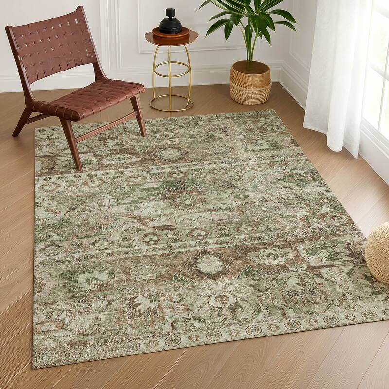 Machine Washable Indoor/ Outdoor Traditional Hudson Chantille Rug