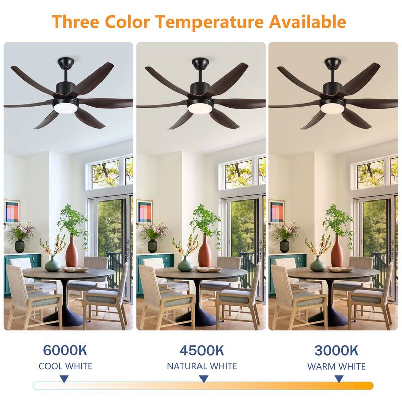 Ceiling Fan with Light Kit