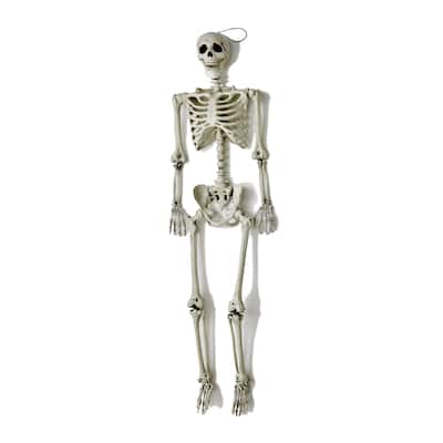 60" Lifesize Hanging Skeleton