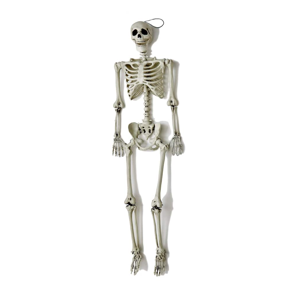 60" Lifesize Hanging Skeleton