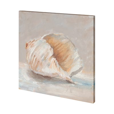 Impressionist Shell Study IV Canvas Art Print